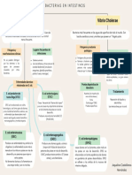 Mapa Conceptual de E. Coli y Vibrio