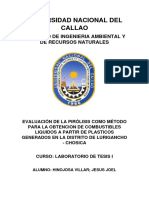 Pirolisis Terminado Presentar