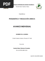 Actv - Indv M2 Cvga Problematicayregulacion