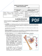 Modulo de Biologia 2do Ano (11 Set Al 06 Oct 2023) Sist Circul