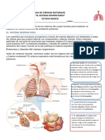 8° Sistema Respiratorio