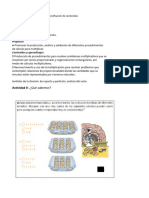 Actividades para El Período de Intensificación de Contenidos 2021 Lillo