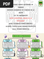 Areas de La Psicologia Mapa Conceptual