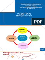 003a T Las Bacterias