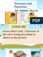 Cell Structure and Functions