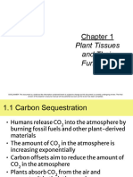 Plant Structure and Function