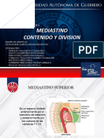 205 EQ.1 - Mediastino. Contenido y Division