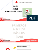 Diapositavas Charlas de Pab