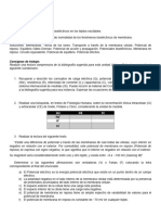 Actividad Practica 3 - Biomembrana FBEKyF 2023