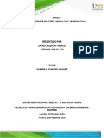 Paso 1 Contextualización de Anatomía y Fisiología Reproductiva