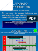 Tema 7 Reproducción Humana