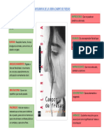 Infografia de La Obra Campo de Fresas