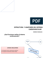 Estructura y Función Cardiovascular