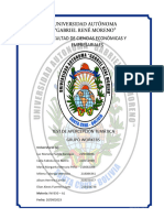 Informe Test de Apercepción Temática