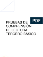 Pruebas de Comprensión de Lectura