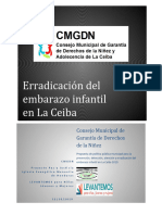 Politica Prevención de Embarazo Infantil. PEI - LC