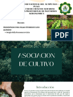 Agroecologia Asociacion de Cultivos