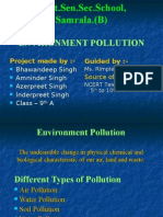 Environment Pollution