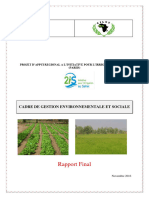 CGES-PARIIS-Rapport Final Niger 1201206-Maman