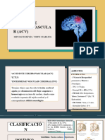 Accidente Cerebrovascular (Acv)