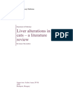 Liver Alterations in Cats - A Literature Review