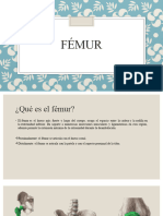 Fémur