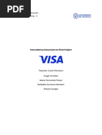 Final Project Written Case - Visa