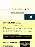 Insuficiencia Renal Aguda 4