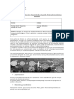 Práctica Experimental CO2 en Agua