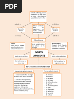 Mapa Conceptual Del Medio Ambiente