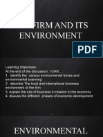 The Firm and Its Environment