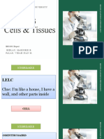 Chapter 3 Cells Tissues