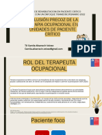 Rol Del TO en UPC CAVRR PDF