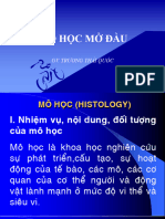 BÀI 1 MỞ ĐẦU MÔ HỌC