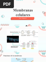 Membranas Biocel