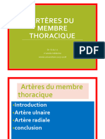 Arrtere Du Membre Thoracique