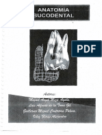 Anatomia Bucodental