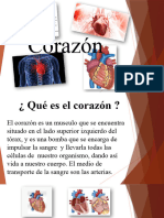 Partes Del Corazon