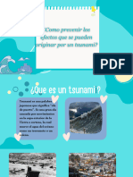 ¿Como Prevenir Los Efectos Que Se Pueden Originar Por Un Tsunami?