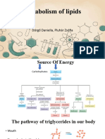 Metabolism of Lipids