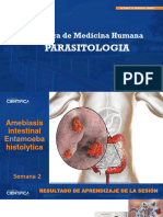 Semana 2 - Amebiasis F