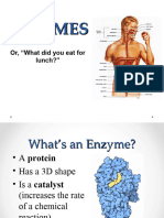 ENZYMES