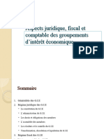 GIE Aspects Comptable Juridique Et Fiscal