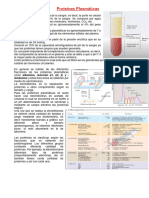 Teoricos Transcriptos Inmuno-1