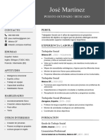 233 Curriculum Vitae Profesional para Trabajo