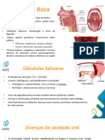 Aula 2 Cavidade+oral-2-43