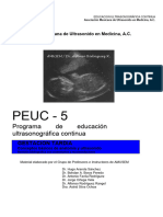 PEUC 5 Gestación Tardía