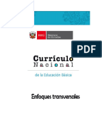 Enfoques Curriculares Transversales - 2019