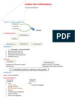 Classification Des Antibiotiques