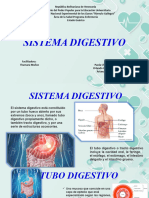 Dispositivas Del Sistema Digestivo Universitario